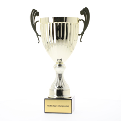 Endeavour Cup Gold 270mm