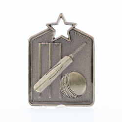 Shield Medal Cricket 60mm Gold