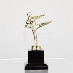 Karate Action Fig Male 160mm