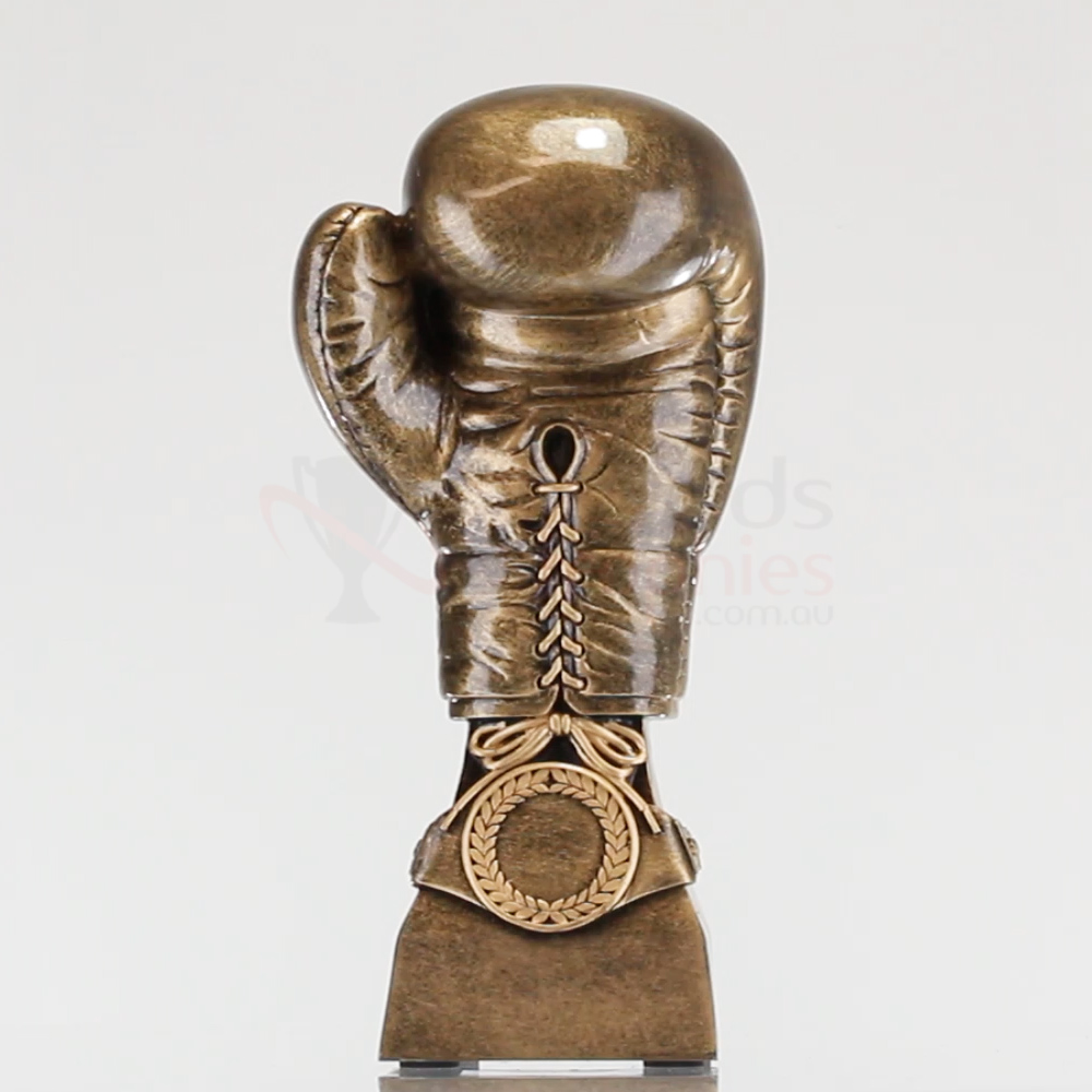 Boxing trophy boxing gloves Resin colourful Awards FREE Nameplate 