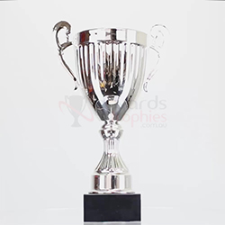 Endeavour Cup Silver 270mm