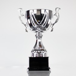 Turin Cup Silver 200mm