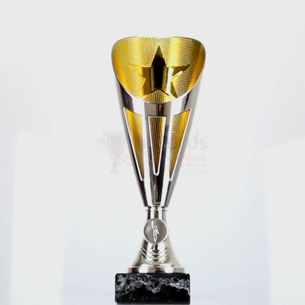 Dianna Cup Silver/Gold 310mm