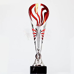 Equinox Cup Silver/Red 300mm
