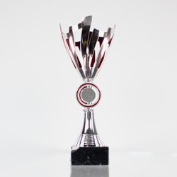 Laser Scribe Series Silver/Red Cup - 245mm