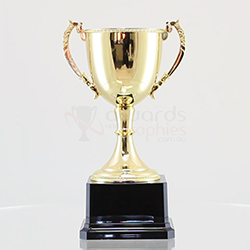 Honour Nickel Plated Gold Cup 280mm