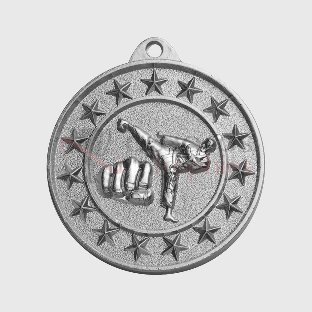 Martial Arts Starry Medal Silver 50mm