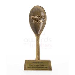 Wooden Spoon 165mm