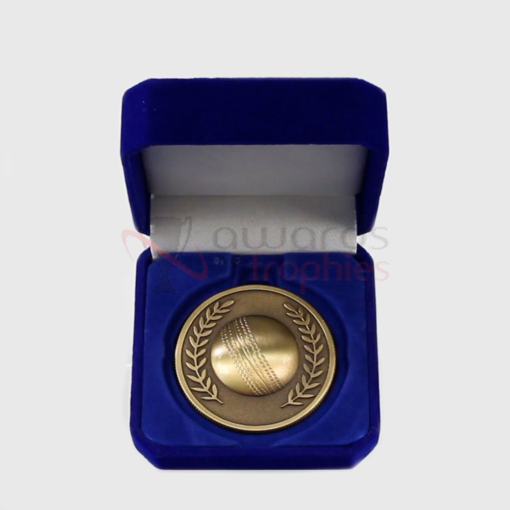 Gold Cricket Coin in Case