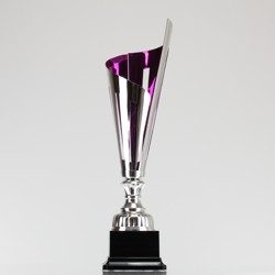 Helix Cup Purple/Silver 360mm