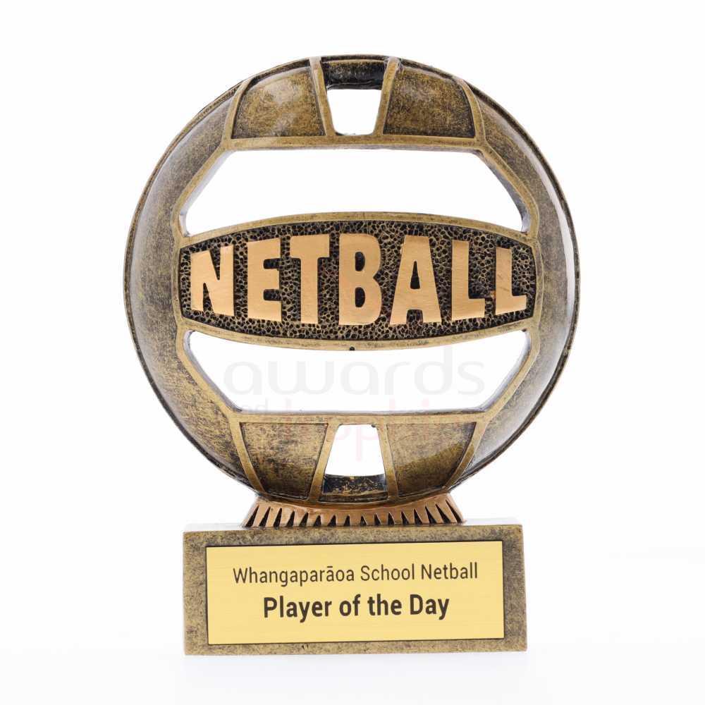 The Ball - Netball 110mm 