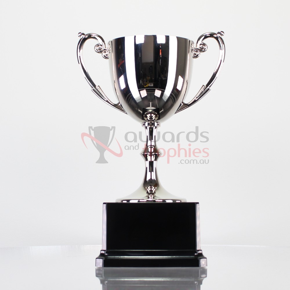 Recognition Nickel Plated Cup 265mm
