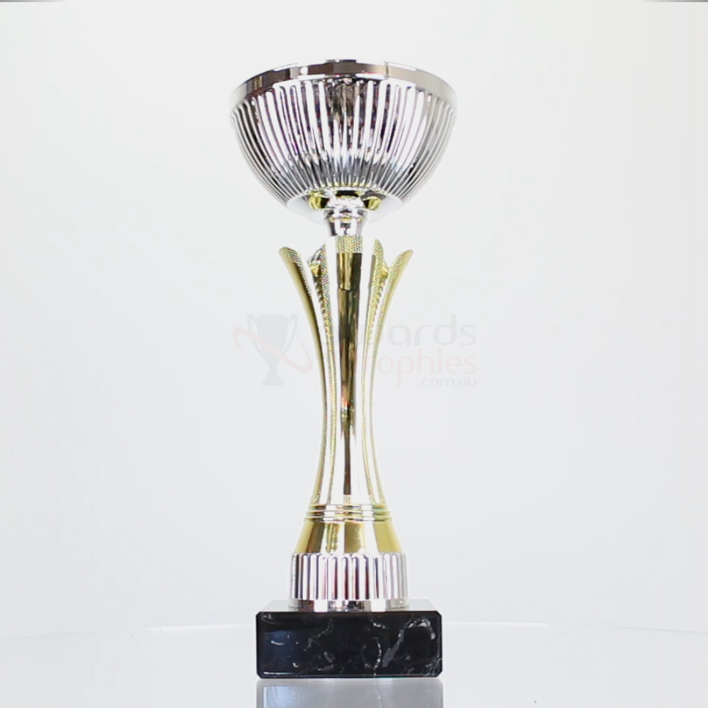Equity Cup Gold/Silver 260mm
