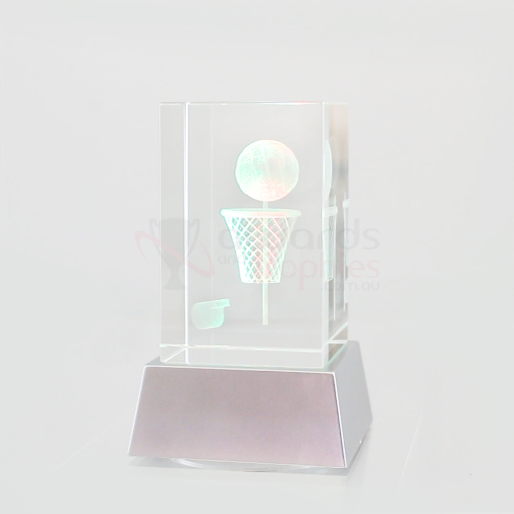 3D Netball Crystal & LED Lights 110mm